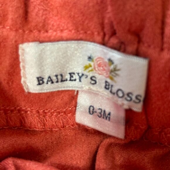 Baby Girls Clothes Lot 10 Piece Spring Summer Outfit Dresses Rompers 0-3 Months - Picture 13 of 16